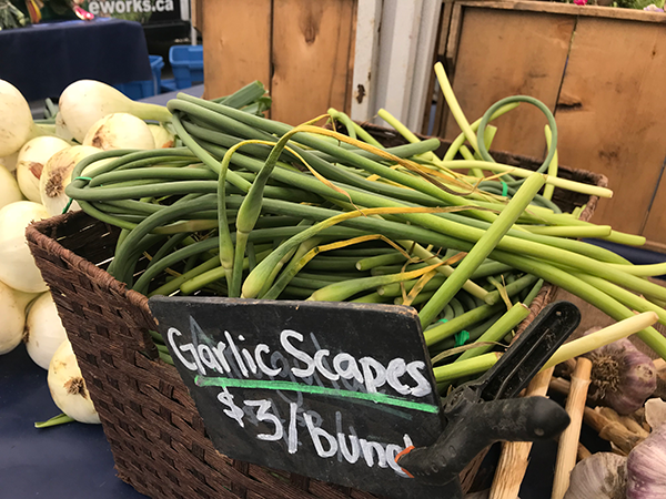 garlic_scapes
